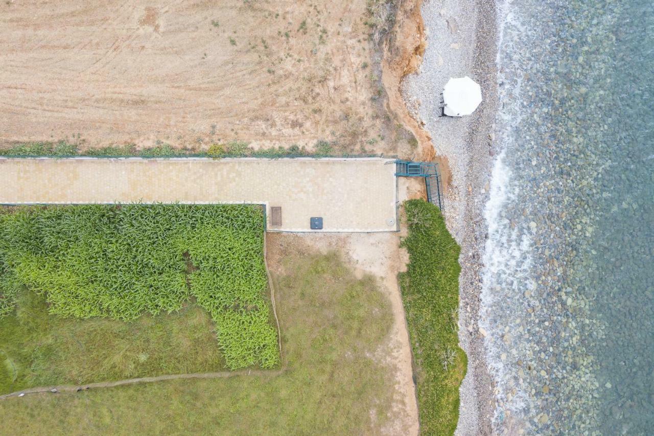 Bella Vista House * Magnisía